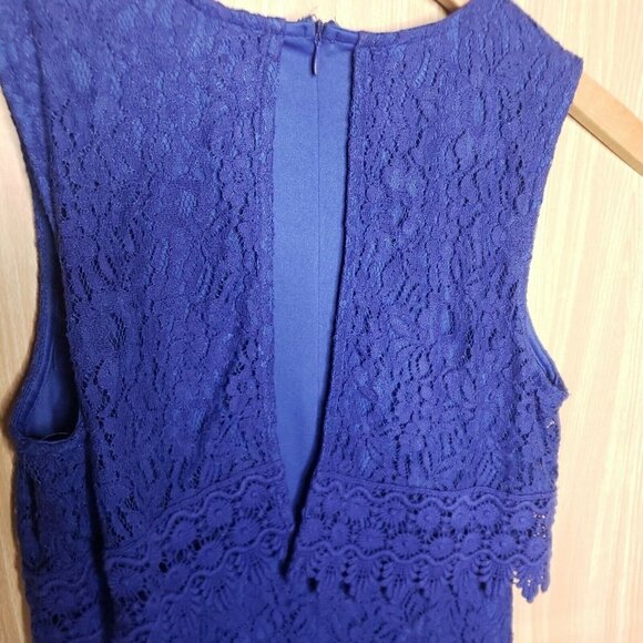 Francesca Womens Blue Lacey Sleeveless Dress Small - Picture 4 of 9
